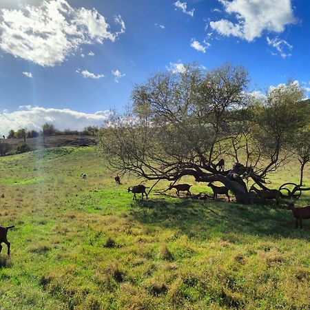 Agriturismo Podere Le Fornaci Греве ин Кианти Екстериор снимка