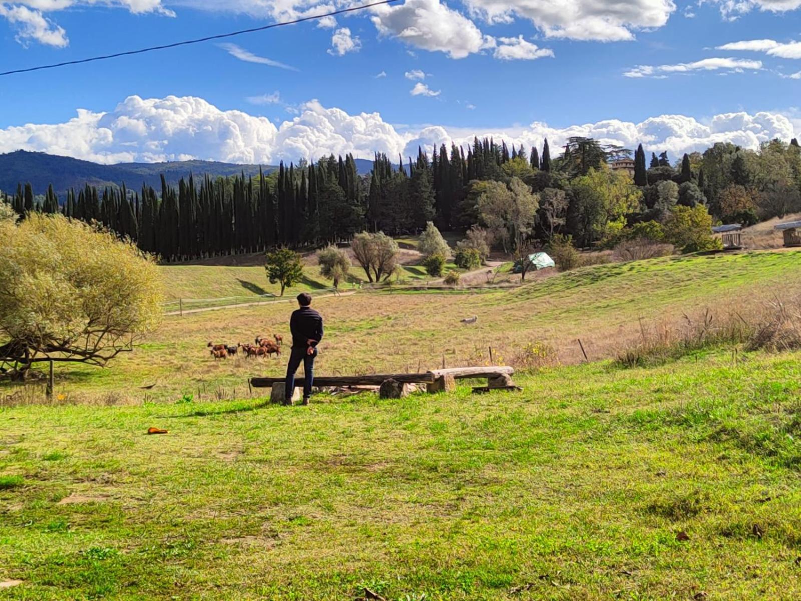 Agriturismo Podere Le Fornaci Греве ин Кианти Екстериор снимка